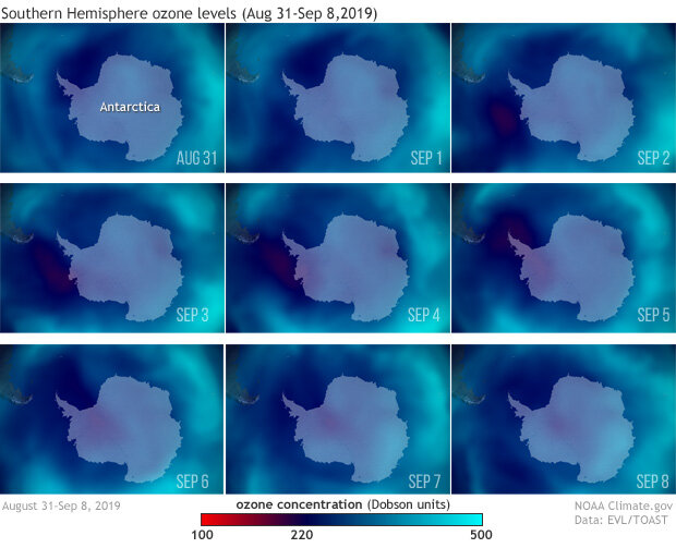Nine maps of ozone levels around Antarctica from Aug 31 to Sep 8, 2019.