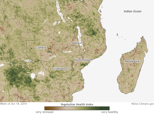 Animated gif of maps showing satellite-based Vegetation Health Index (VHI) from October 14, 2014–February 4, 2015 for Southern Africa
