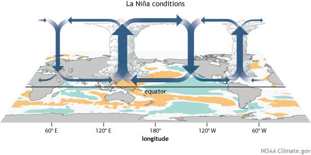 Schematic of the main parts of the Walker Circulation in the tropical Pacific during La Niña