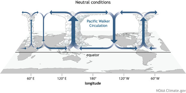 Schematic of the main parts of the Walker Circulation in the tropical Pacific