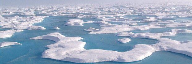 Interlocking melt ponds on Arctic sea ice look like tropical lagoons in this photo from August 2008.