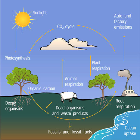 Carbon Dioxide: Earth's Hottest Topic Is Just Warming Up | NOAA Climate.gov