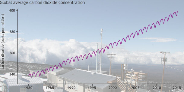 Line graph of global average carbon dioxide concentrations since 1980, with photo of Mauna Loa Observatory in background.