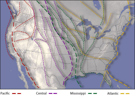 Bird migration flyway map