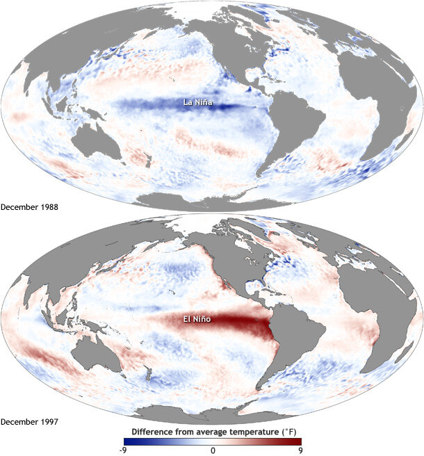 Global maps of sea surface temperature anomalies during a strong La Niña (top) and a strong El Niño (bottom)