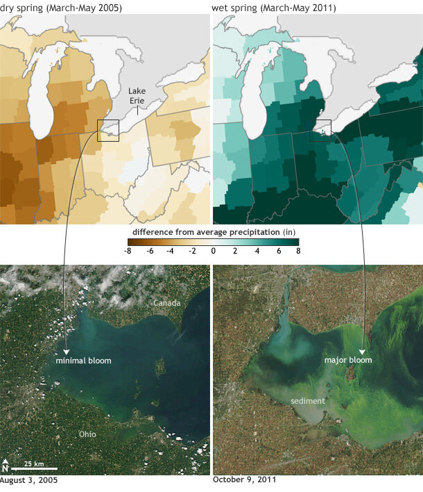 (Top row) Difference from average precipitation for a dry spring (March-May 2005,) and a wet spring (March-May 2011). (Bottom row) NASA satellite image of the western end of Lake Erie in the respective summer/fall. The bloom was minimal in 2005 (left), but dramatic in 2011 (right).