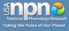 National Phenology Network logo