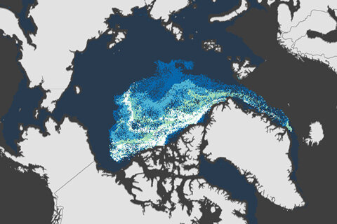 Sea ice age map