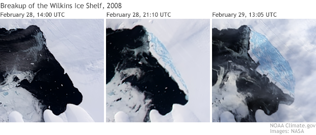 Wilkins Ice Shelf disintegration sequence