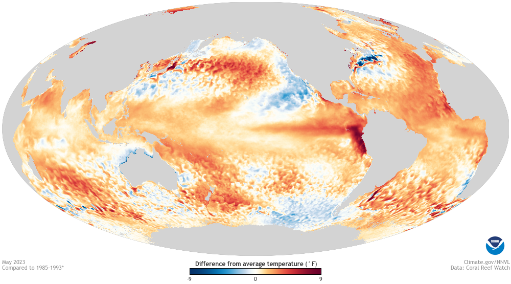 Global map of sea surface temperature anomalies in May 2023