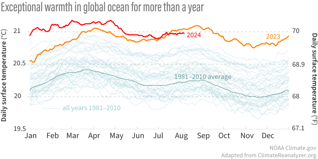 August 2024 ENSO Update A La Niña Watch in the Dog Days of Summer