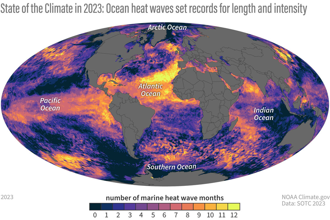 Global map of the number of months each ocean location experienced heatwave conditions, showing how large parts of each ocean basin experienced at least a few months of extreme heat.