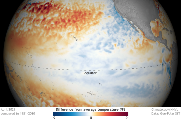Spherical map of the tropical Pacific Ocean showing surface temperatures in April 2021 compared to average