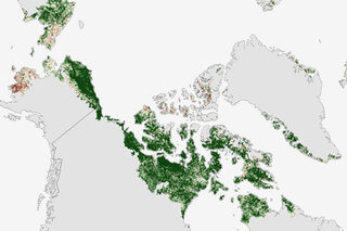Map image for 2013 Arctic Report Card: Greener Arctic of recent years likely to be the new normal