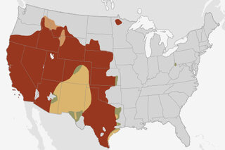 Map image for Climate Conditions: July 2013 Drought Outlook