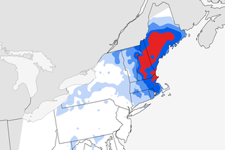 Map image for Where will this week’s Northeast snowstorm fit into the historic record? 
