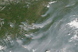 Map image for Wildfires burn up western North America