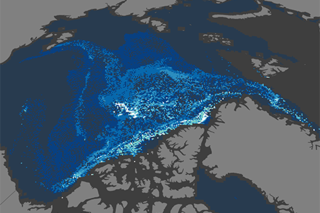 Map image for Old sea ice continues disappearing from the Arctic Ocean