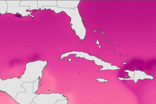Map image for To protect marine life, NOAA monitoring seasonal and yearly changes in surface water pH in Caribbean Sea and Gulf of Mexico
