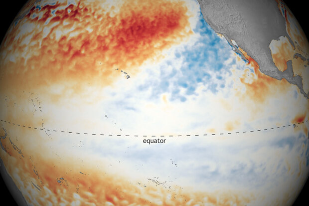 Spherical map of the tropical Pacific showing May 2021 temperature anomalies