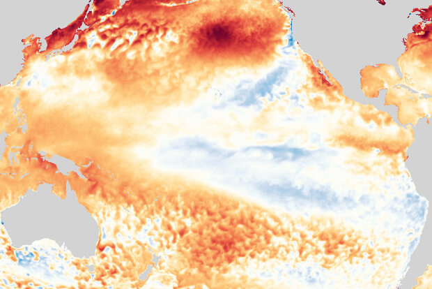 Map of Pacific ocean temperatures compared to average in August 2021