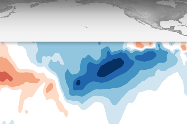 Map of sub-surface temperature anomalies in tropical Pacific in early October 2021