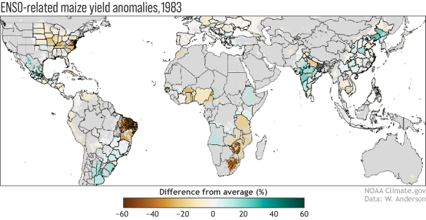 Map of maize anomalies during El Niño