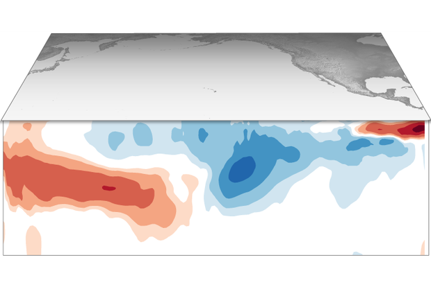 Cross-section map of thr tropical Pacific Ocean showing a pool of cooler-than-average water beneath the surface