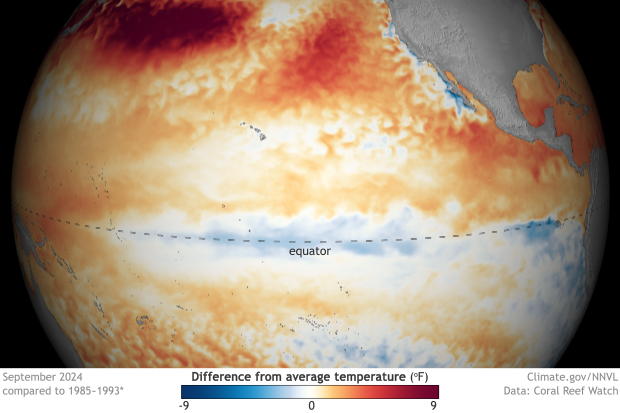 Shaded globe-style map of the Pacific Ocean showing cool waters along the equator due to La Niña 