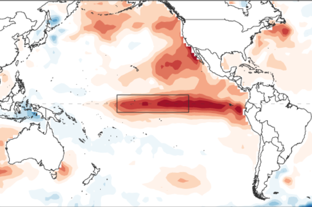 Sea surface temperature anomaly map