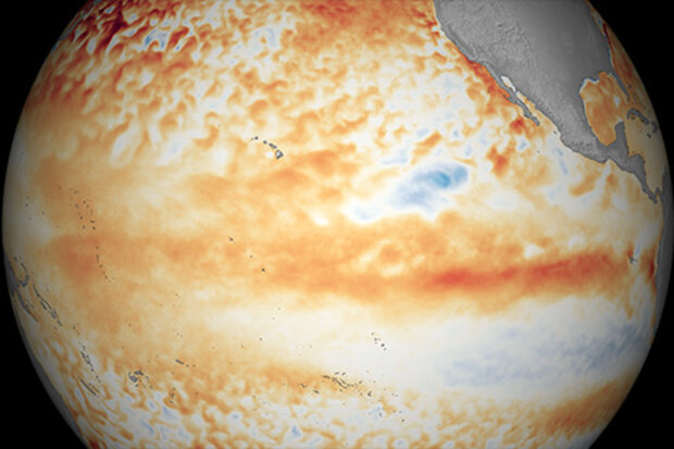 November 2018 sea surface temperature anomalies