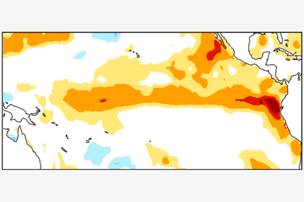 Sea surface temperature anomaly map